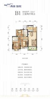 西宸铂悦1期 1室 100.00平米