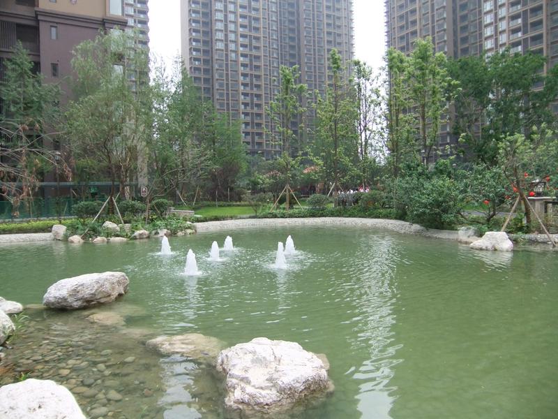 实景图