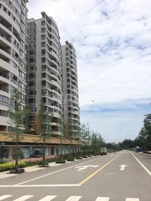 香江紫钻实景图