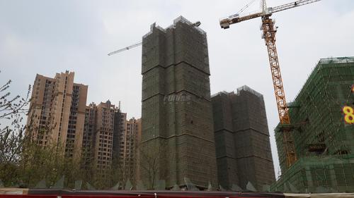 成功红树林实景图
