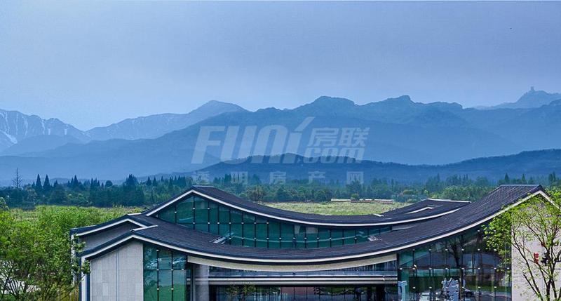 实景图
