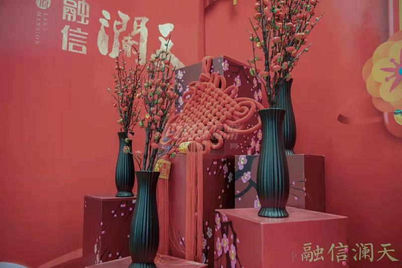 萌熊摄影