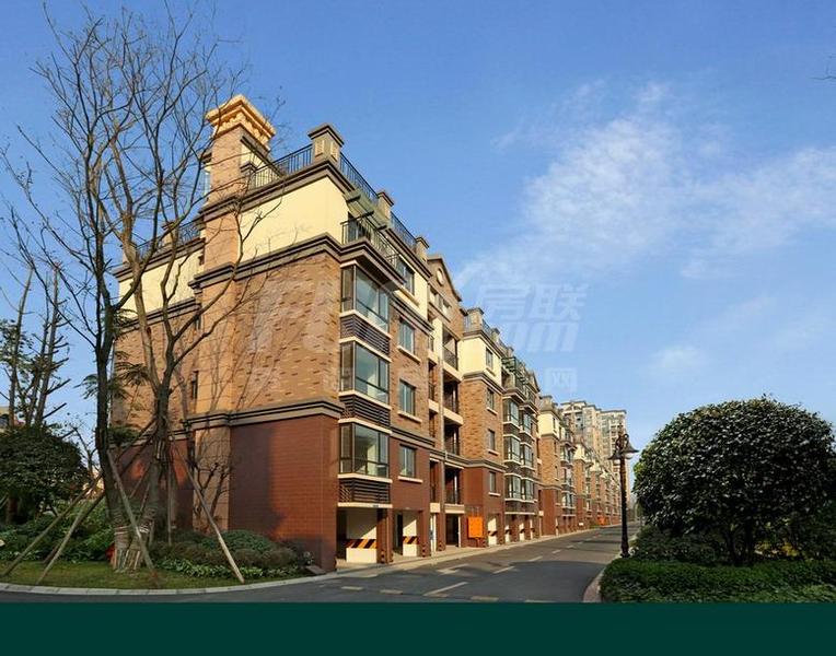 上林西江国际社区实景图