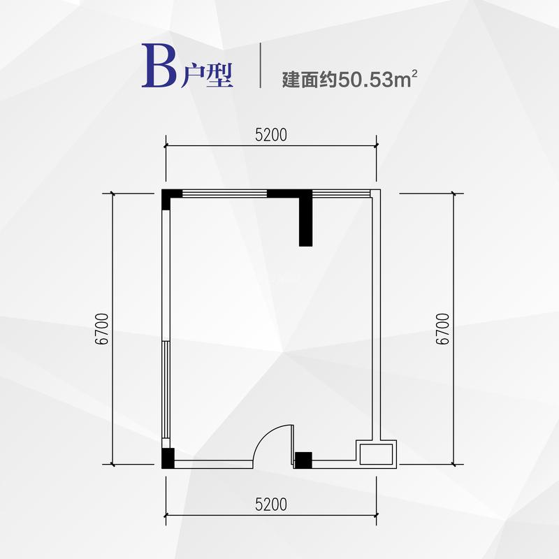 B户型