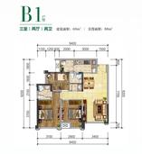 B1
