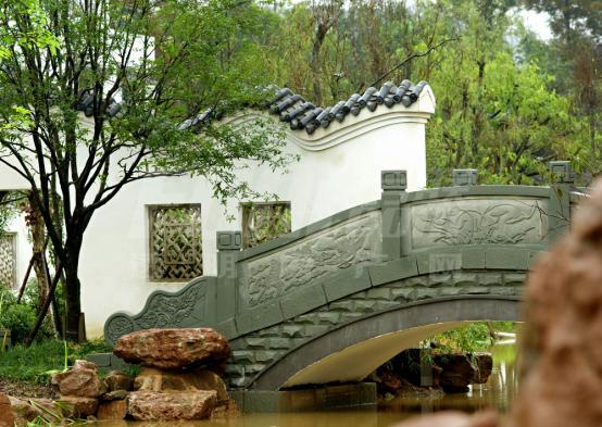 实景图