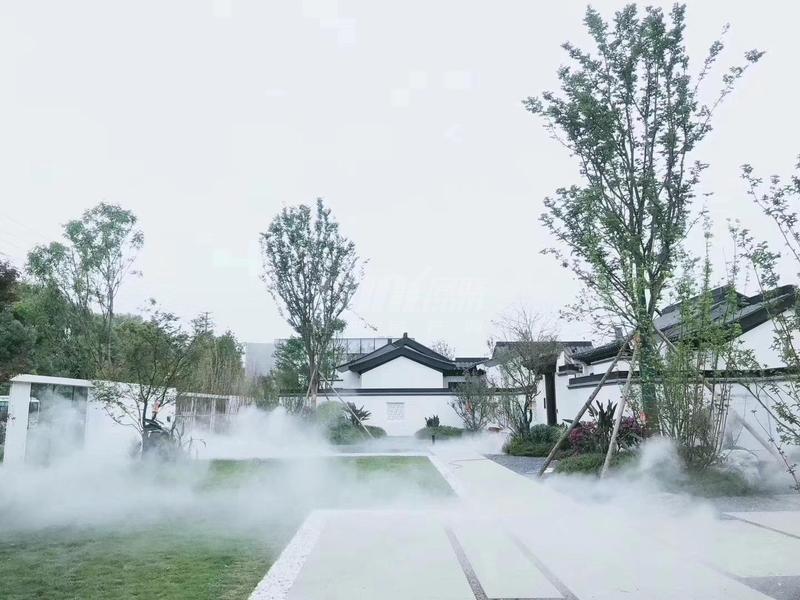 院落一角