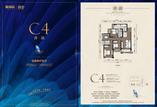 C4