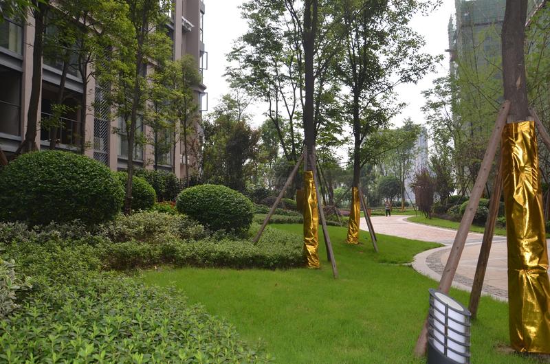 一期小区实景图