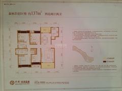 保利两河森林4室2厅2卫137.00平户型