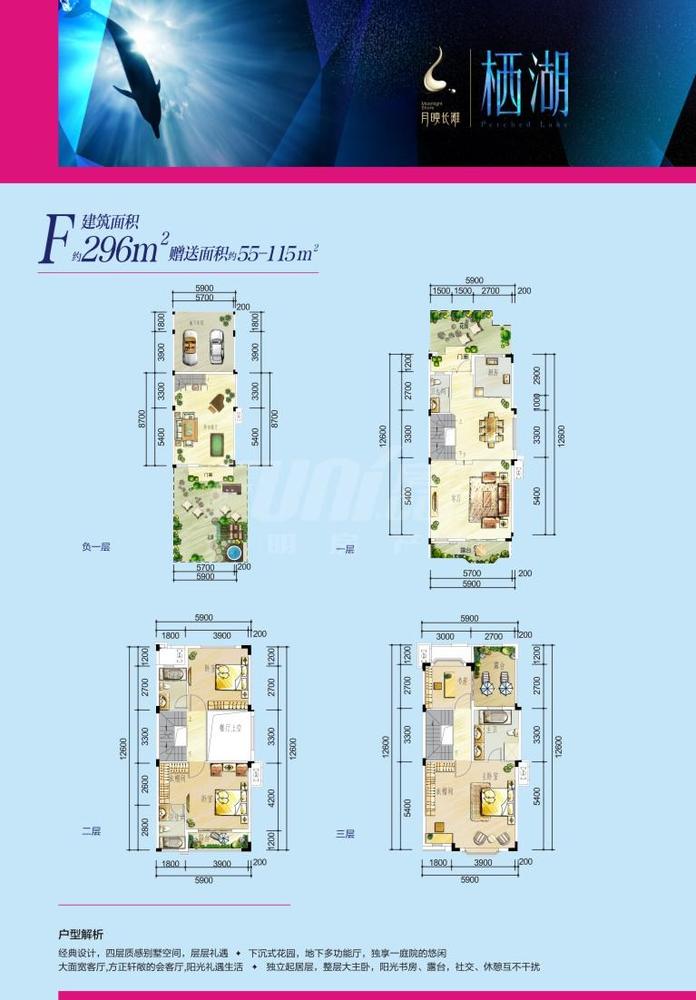 联排F户型图