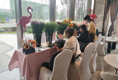 成都轨道凤舞七里北苑、成都轨道凤舞七里西苑1期活动图