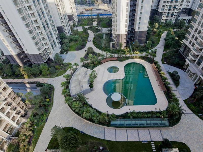 实景图