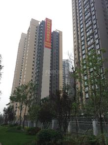卓锦城1期实景图