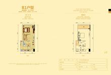 上龙门40.41平户型