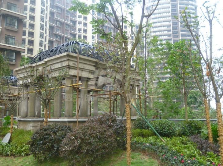 实景图