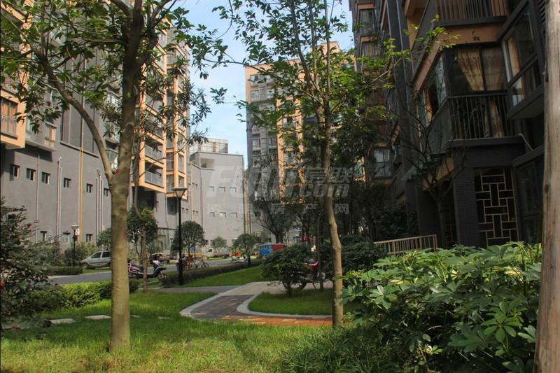 小区实景图