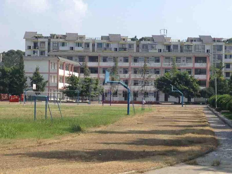 学校