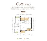 C3顶