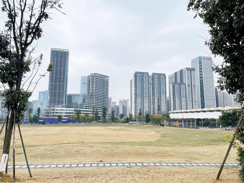 建筑实景图