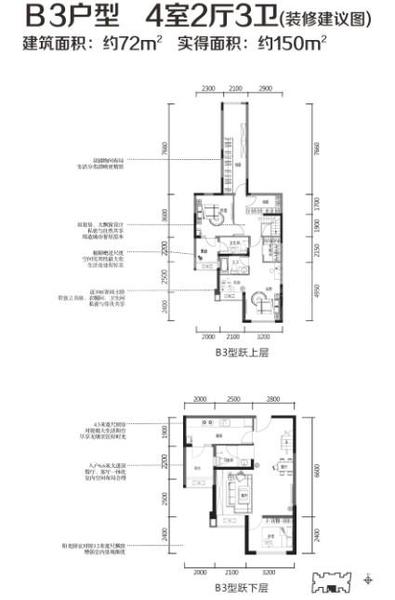 B3.jpg