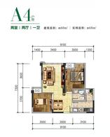 A4