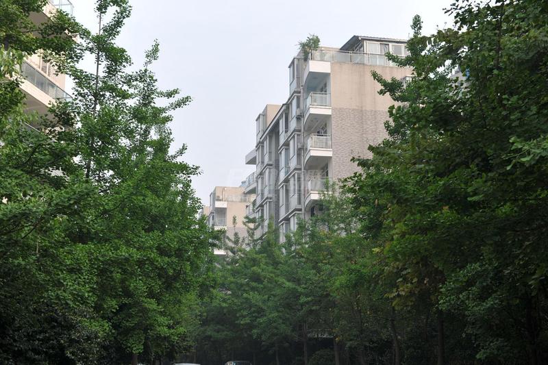 实景图