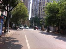 东府九座实景图