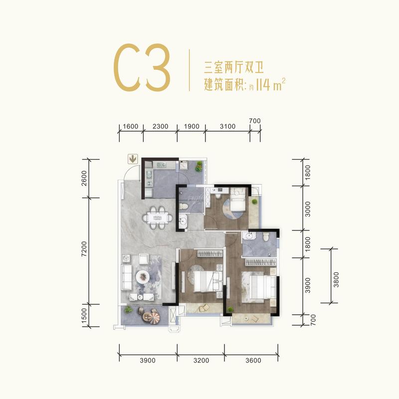 C3