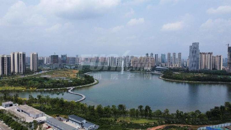实景图