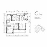 C1