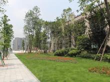 锦城南府实景图