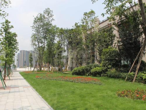锦城南府实景图