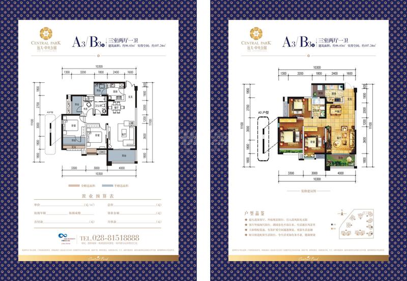 A3/B3