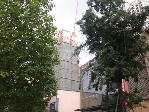 东山国际新城玫瑰谷实景图