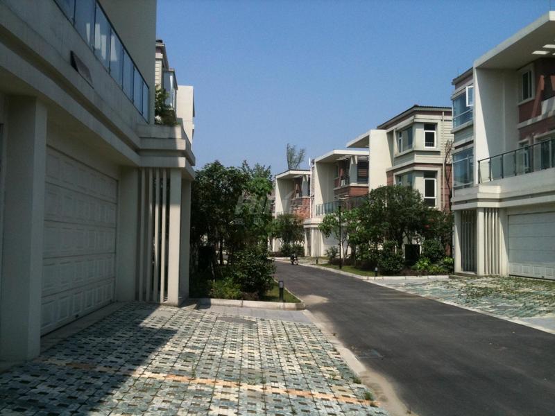 实景图