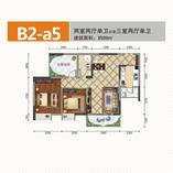 B2-a5